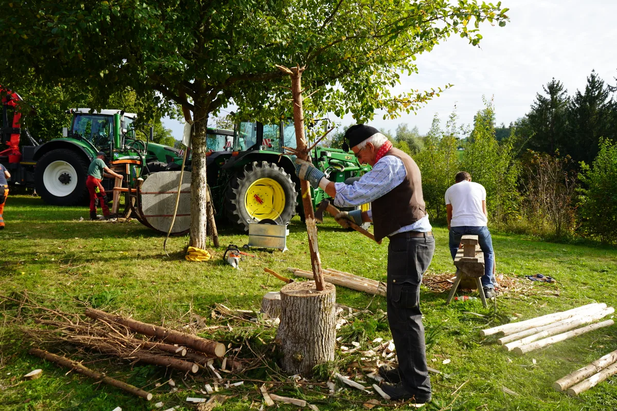 Landvogteimarkt Grüningen